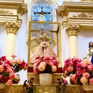 Meet your Posher, Rosaura